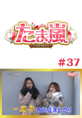 たま嵐