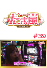 たま嵐