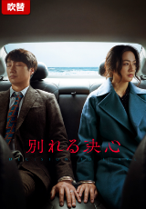 別れる決心【吹替】