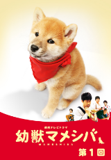 ドラマ版 幼獣マメシバ