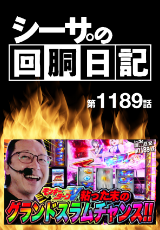 シーサ。の回胴日記