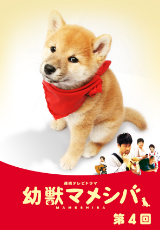 ドラマ版 幼獣マメシバ